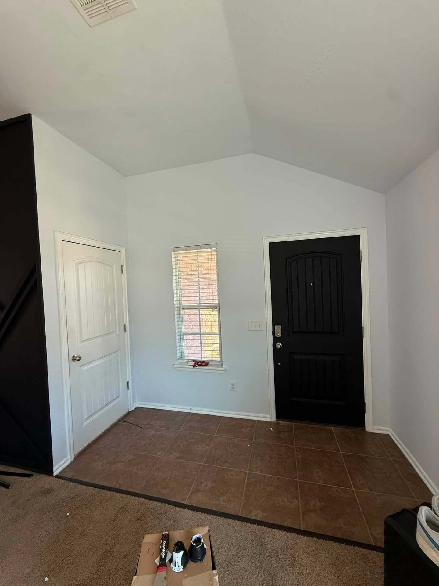 Entryway with fresh white walls and black interior door